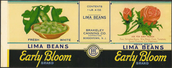 5EARLY-BLOOM